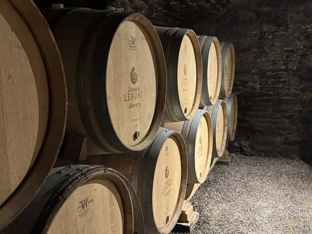 Weinfässer im Weinkeller – Holzfässer mit Wein